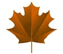 dark maple leaf