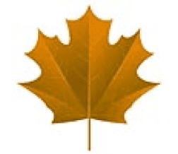 maple leaf